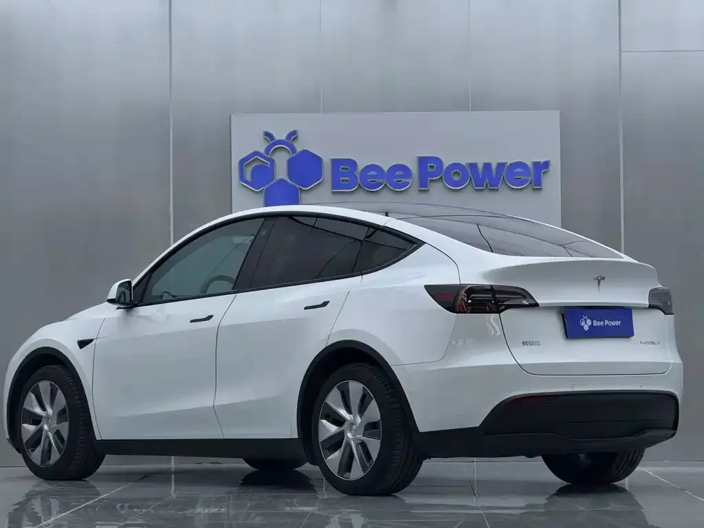 Tesla Model Y 2022 из CN, фото 3