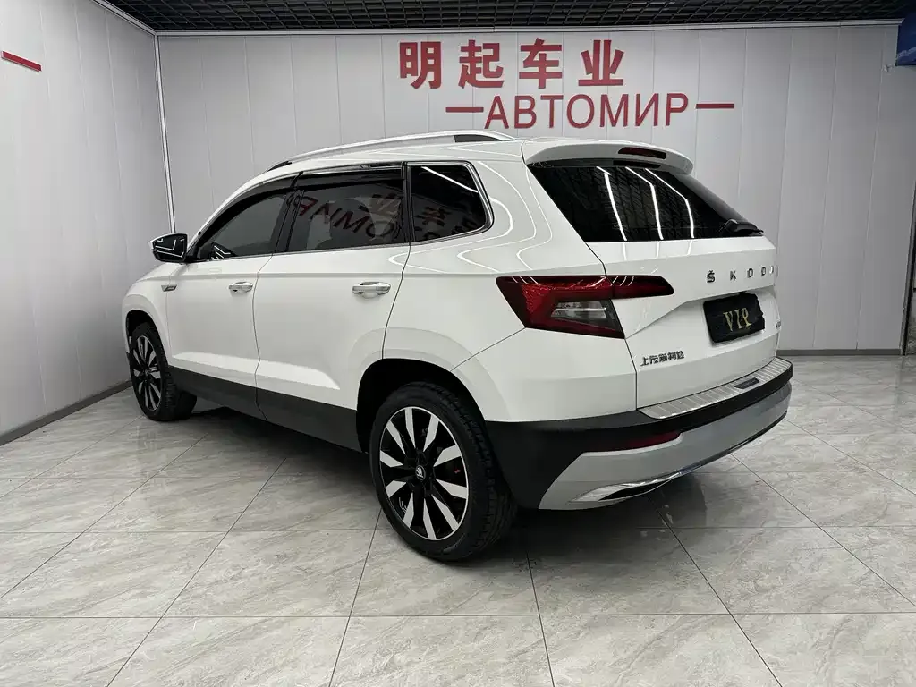 Skoda Karoq — фото 8