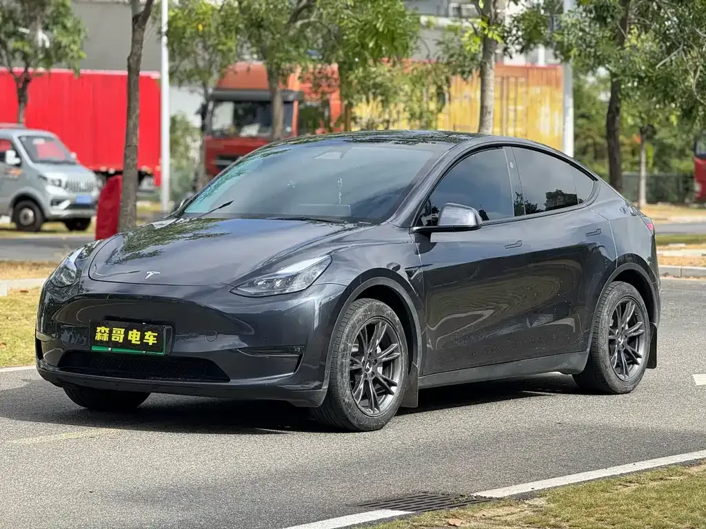 Tesla Model Y — фото 1