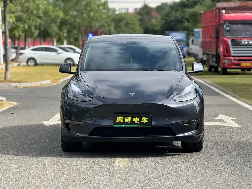 Tesla Model Y — фото 5