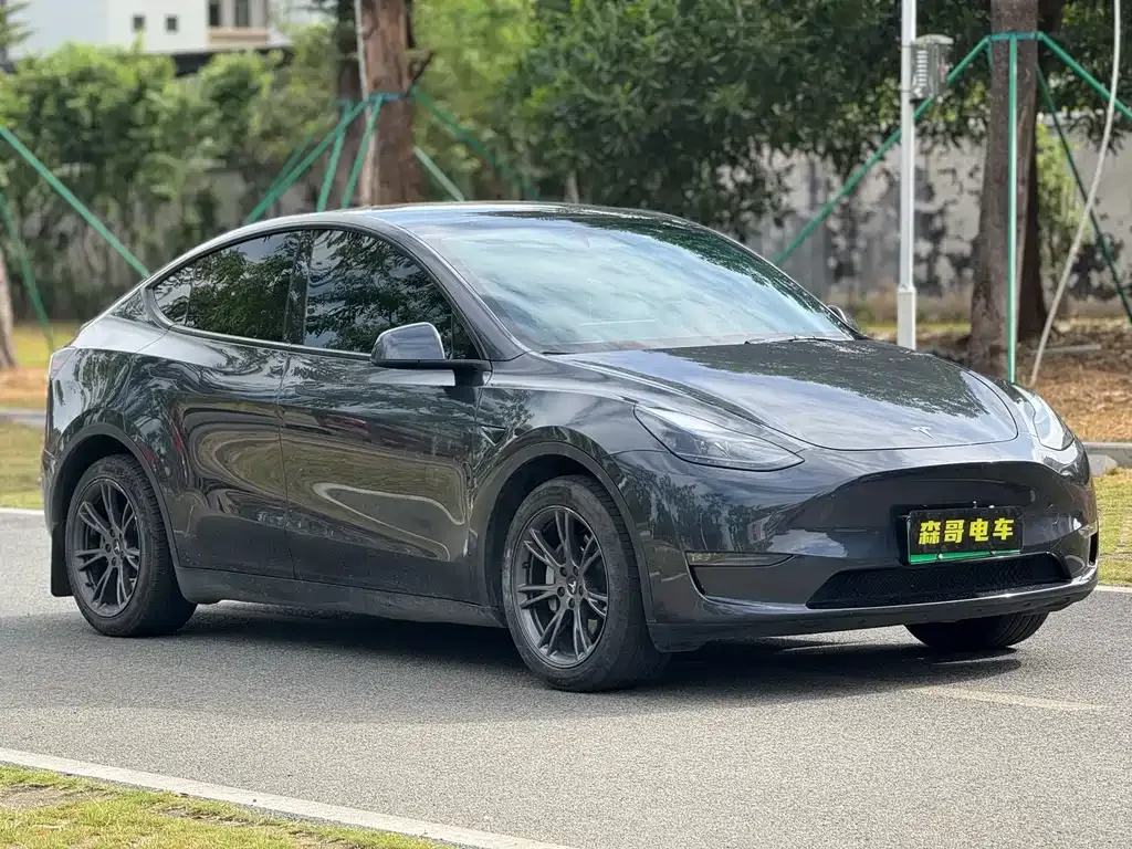 Tesla Model Y — фото 10