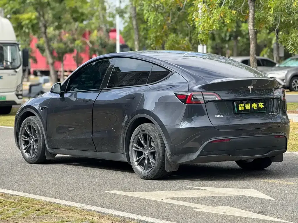 Tesla Model Y — фото 9