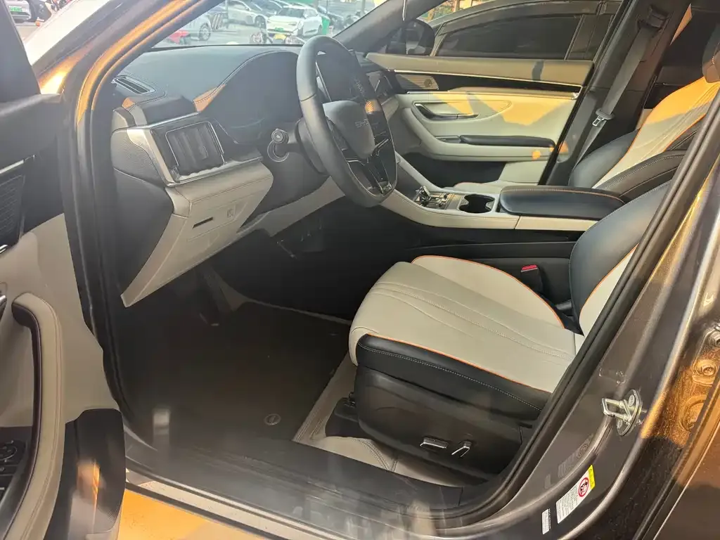 BYD PLUS New Energy 2024 из CN, фото 10