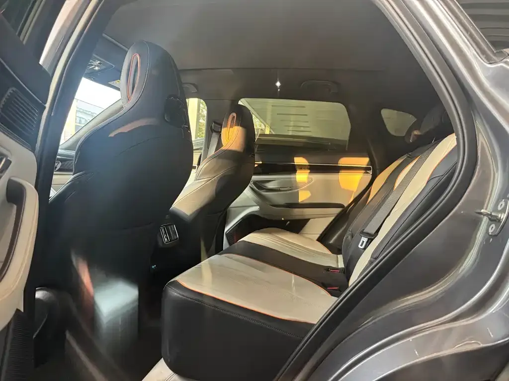BYD PLUS New Energy 2024 из CN, фото 4
