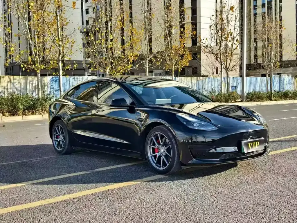 Tesla Model 3 2023 из CN, фото 3