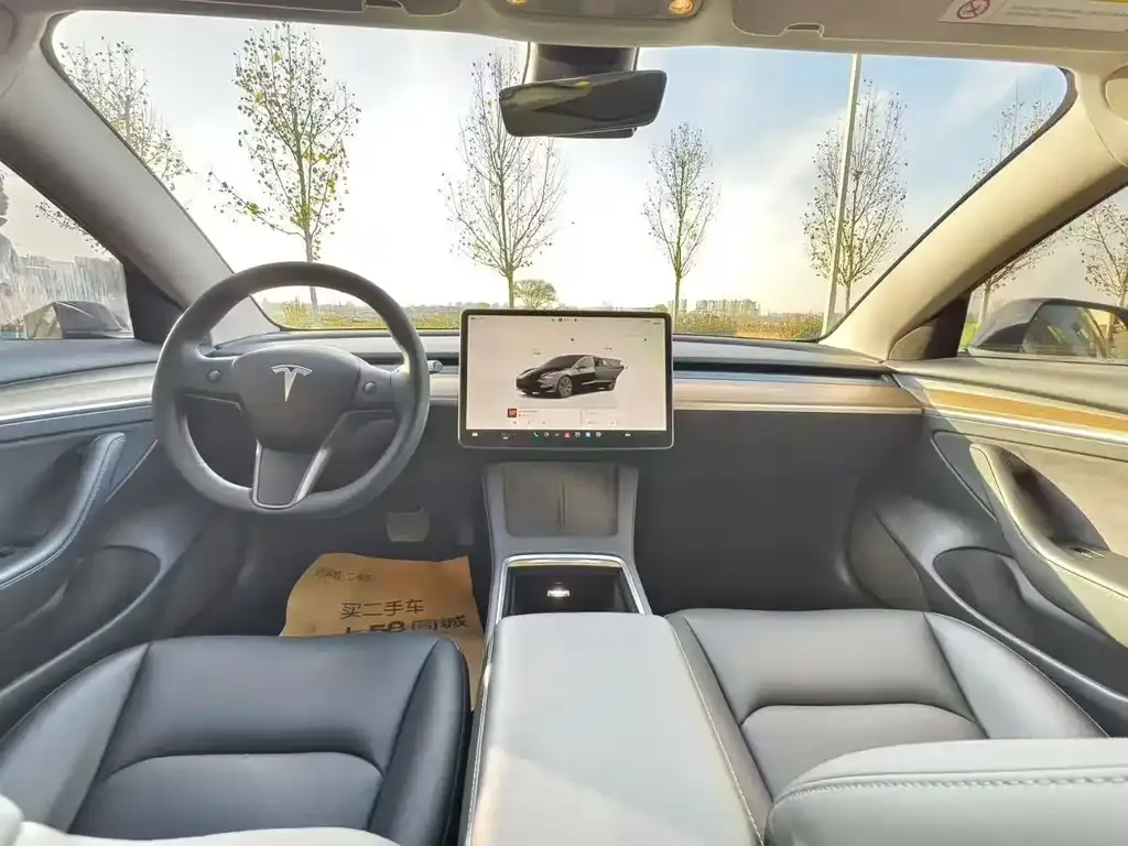 Tesla Model 3 2023 из CN, фото 5