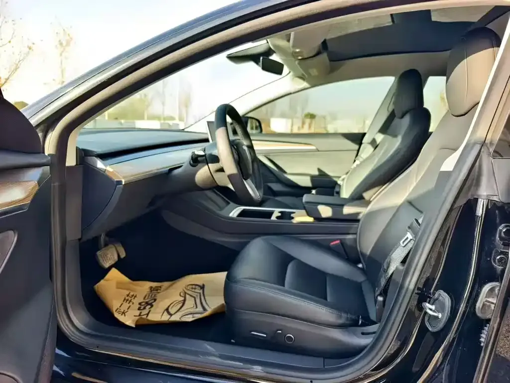 Tesla Model 3 2023 из CN, фото 6