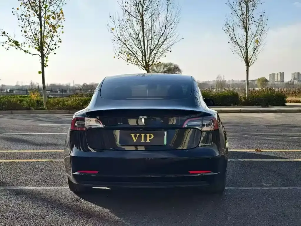 Tesla Model 3 2023 из CN, фото 8