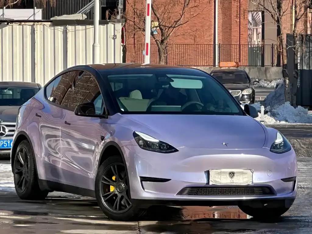Tesla Model Y — фото 3
