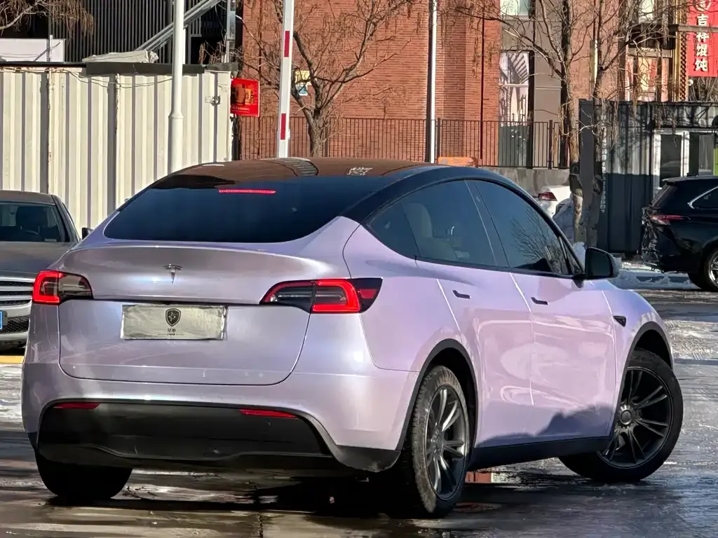 Tesla Model Y — фото 10
