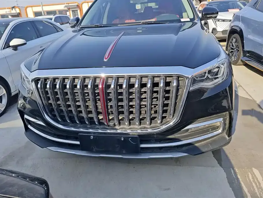 Hongqi HS7 2022 из CN, фото 2
