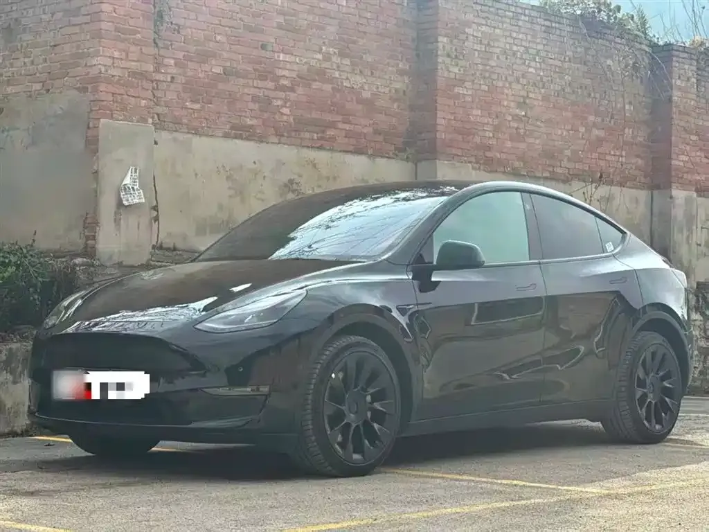Tesla Model Y 2021 из CN, фото 1