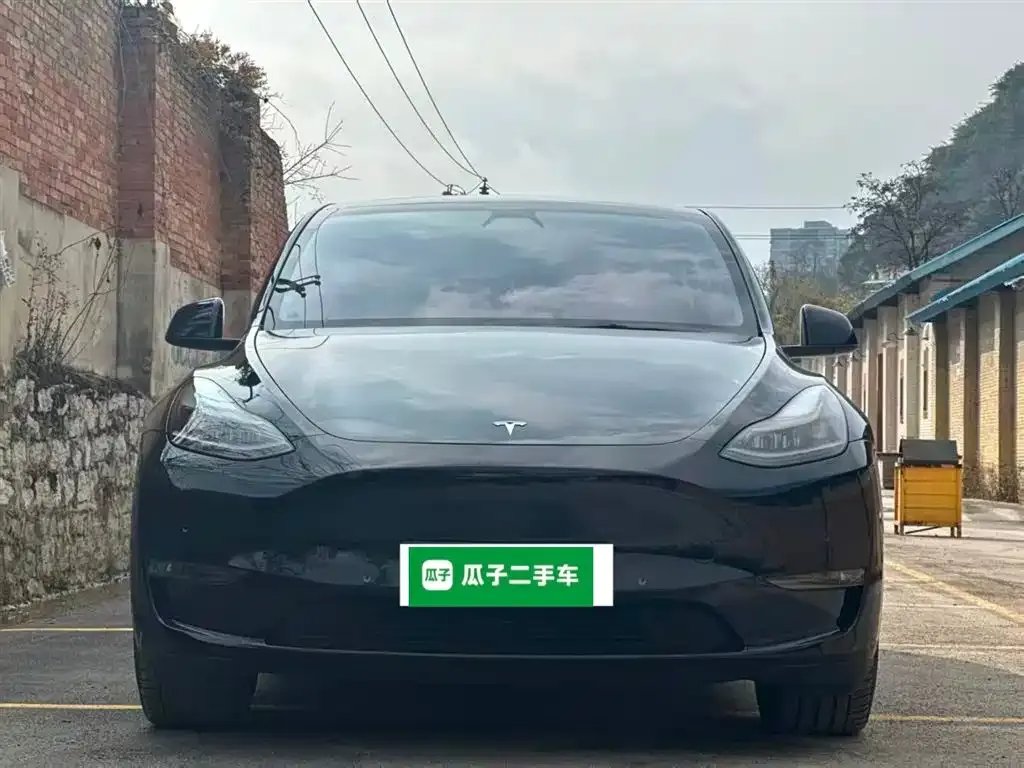 Tesla Model Y 2021 из CN, фото 10