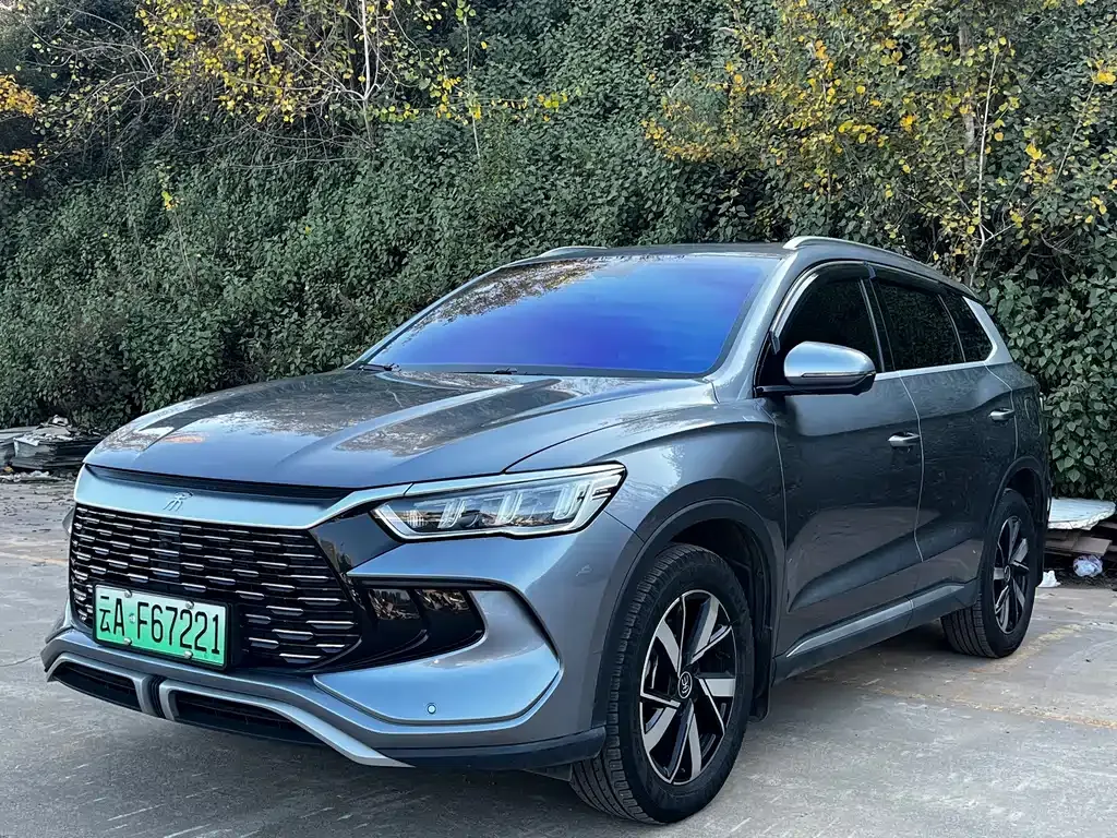 BYD Pro New Energy 2023 из CN, фото 1