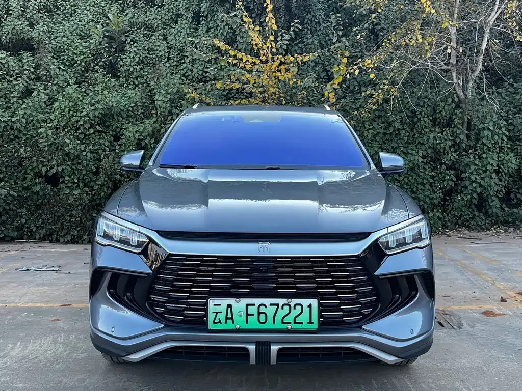 BYD Pro New Energy 2023 из CN, фото 2