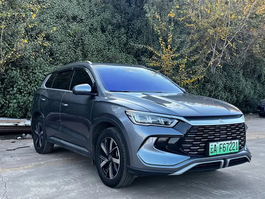 BYD Pro New Energy 2023 из CN, фото 3