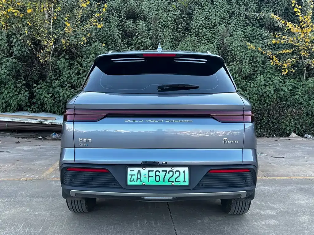BYD Pro New Energy 2023 из CN, фото 5