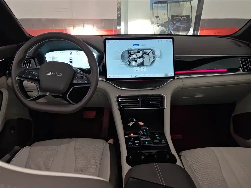 BYD PLUS New Energy 2025 из CN, фото 8