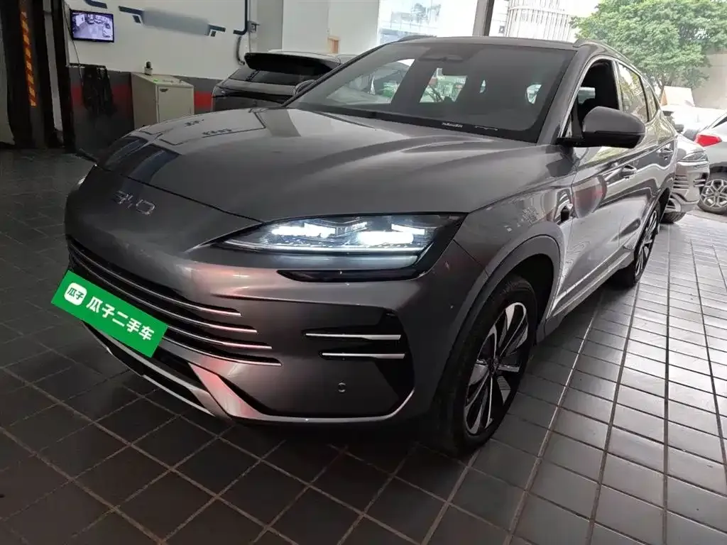 BYD PLUS New Energy 2025 из CN, фото 2