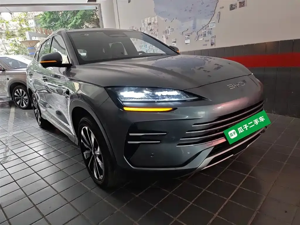 BYD PLUS New Energy 2025 из CN, фото 5