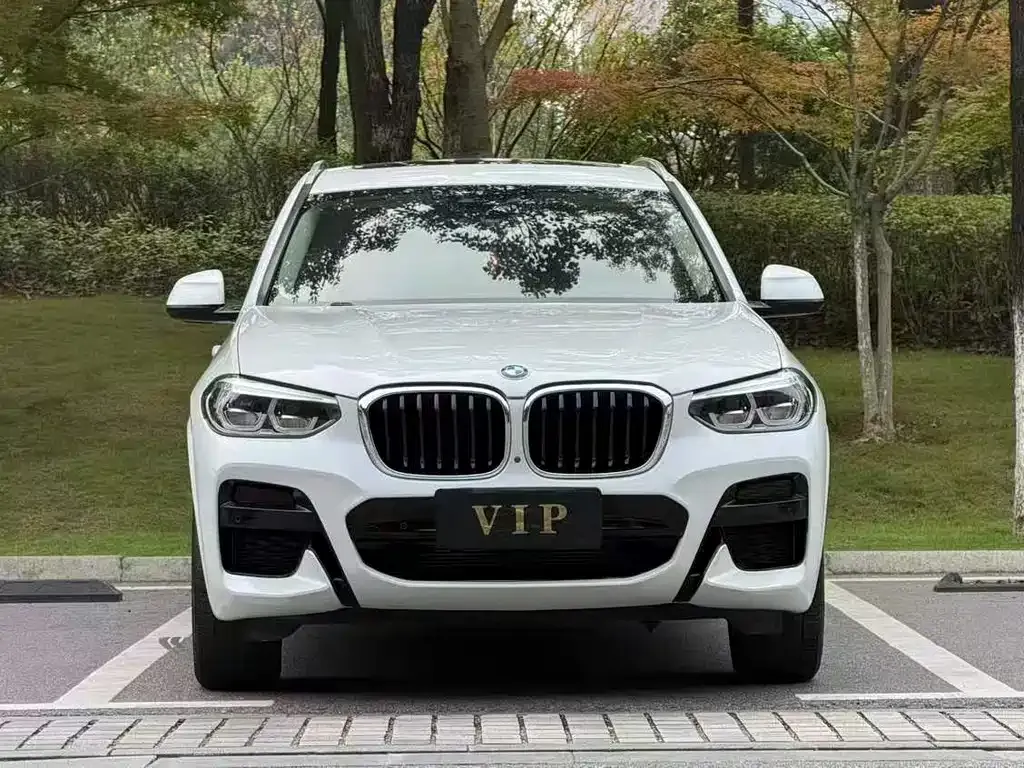 BMW X3 2021 из CN, фото 7