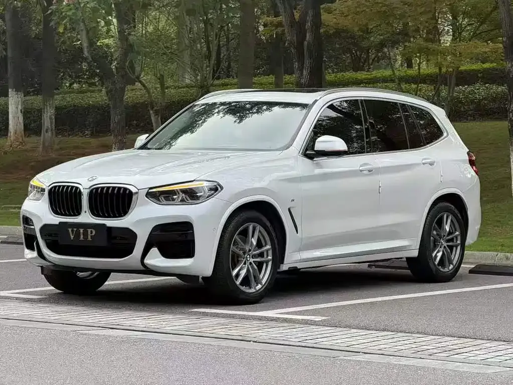 BMW X3 2021 из CN, фото 4