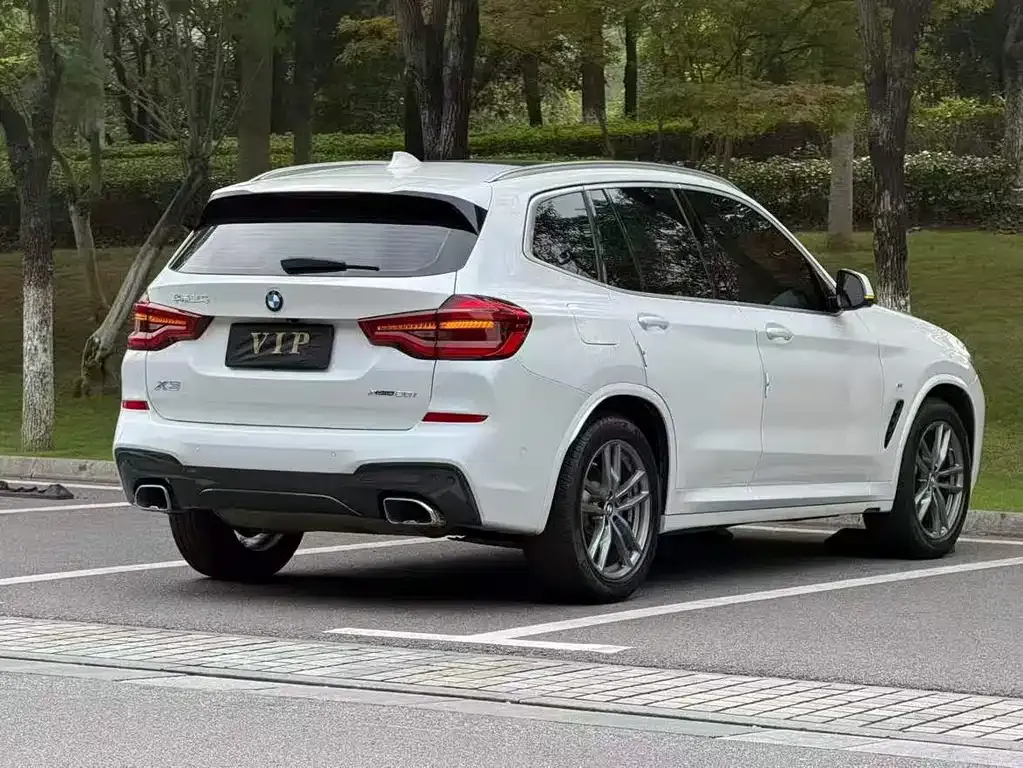 BMW X3 2021 из CN, фото 9