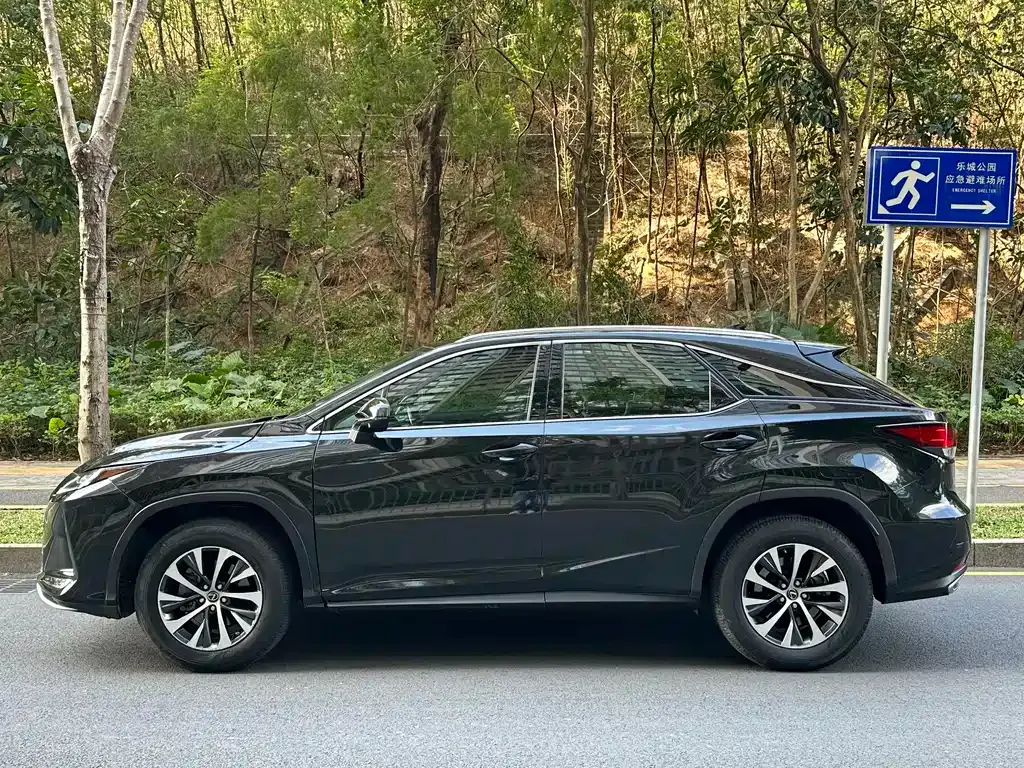Lexus RX — фото 8