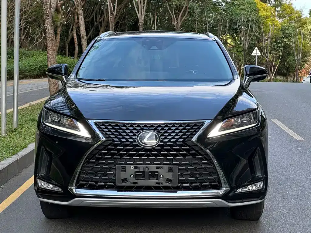 Lexus RX — фото 10