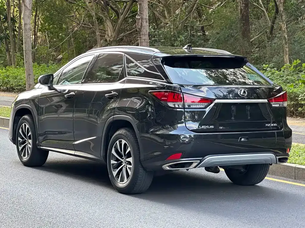 Lexus RX — фото 6