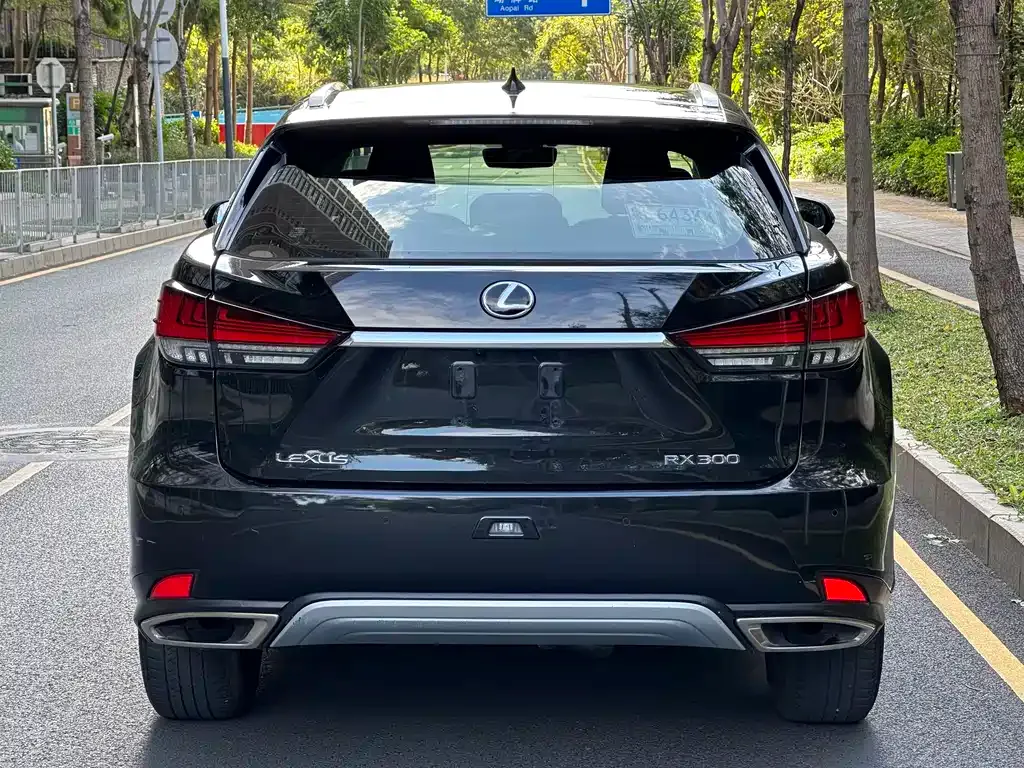 Lexus RX — фото 7