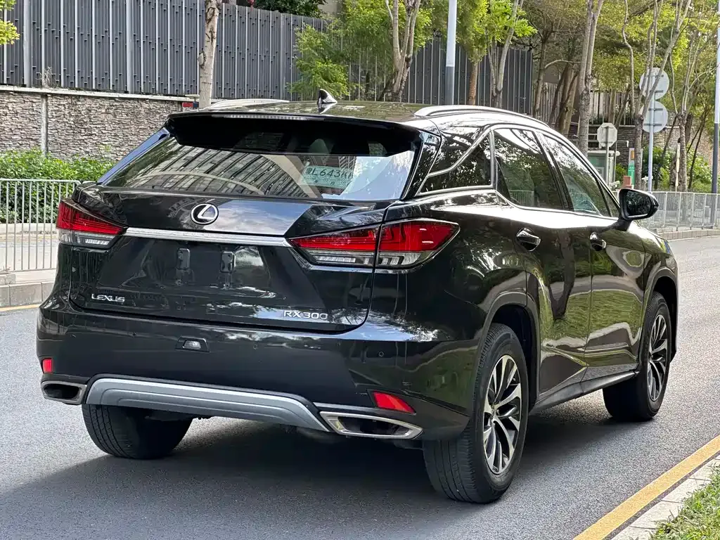Lexus RX — фото 5