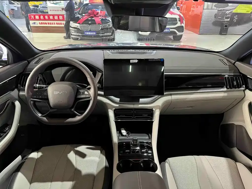 BYD PLUS New Energy 2025 из CN, фото 8