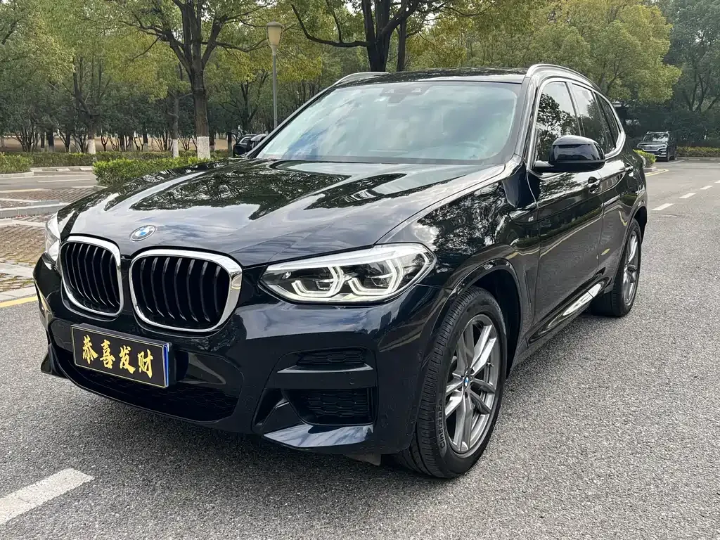 BMW X3 — фото 1