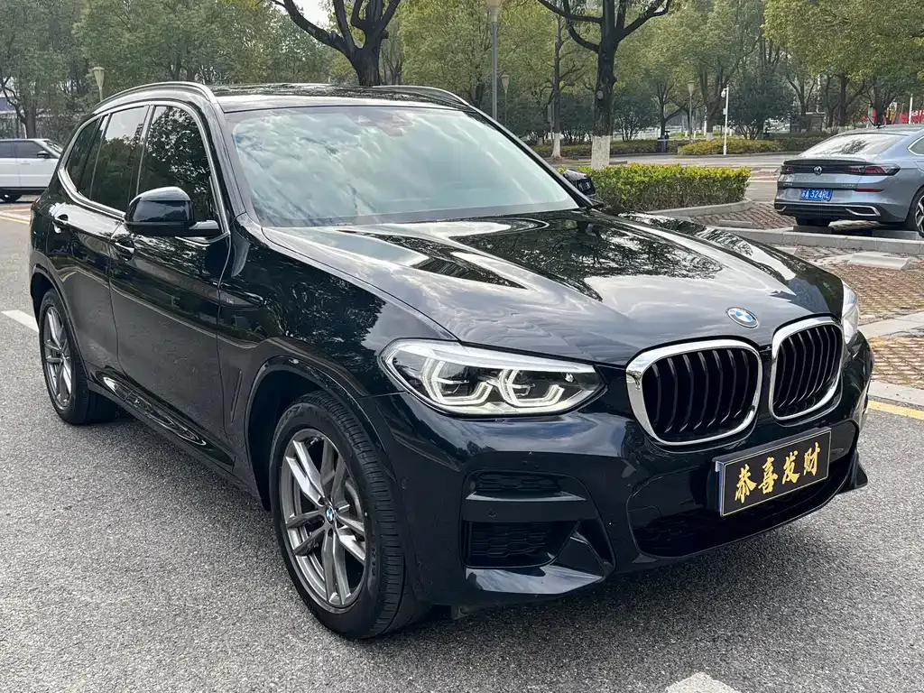 BMW X3 — фото 4