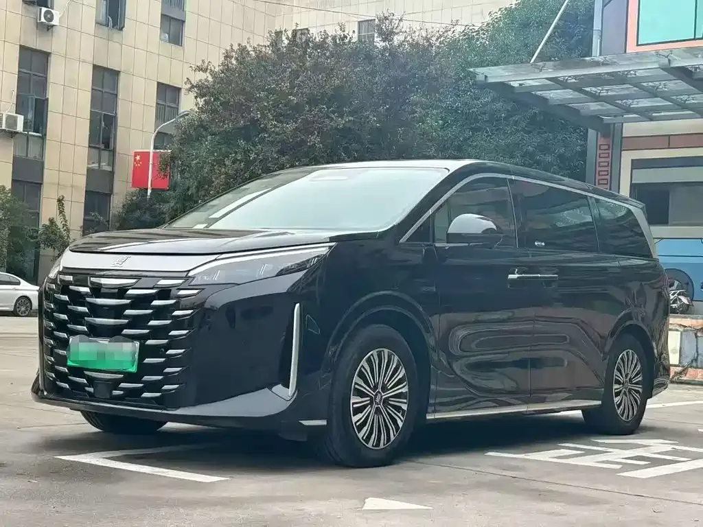 BYD Xia 2025 из CN, фото 1