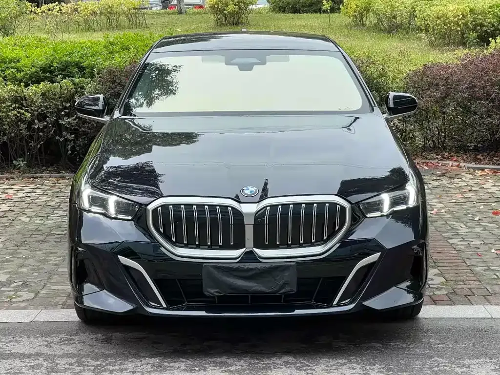 BMW 5 Series 2024 из CN, фото 2