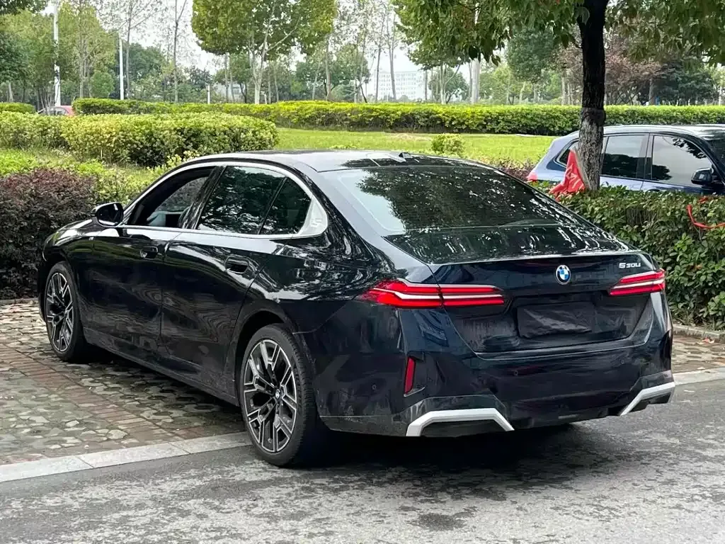 BMW 5 Series 2024 из CN, фото 7