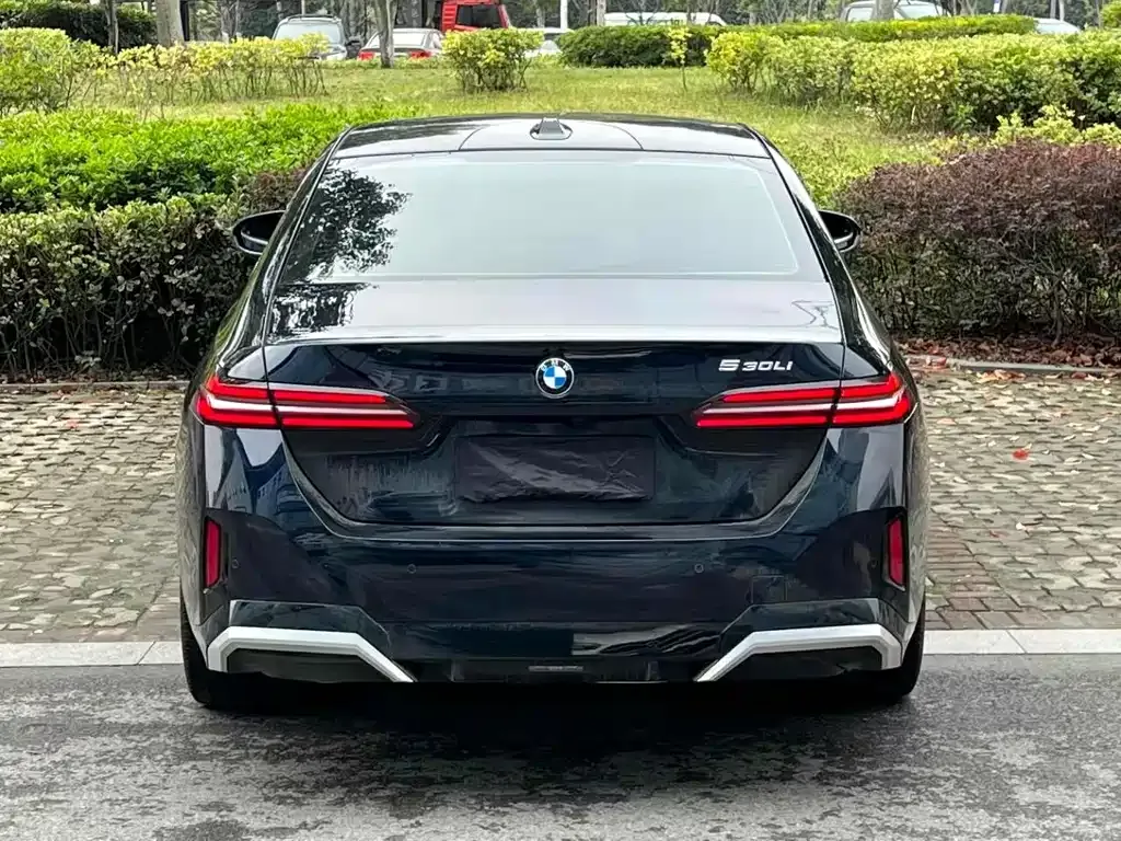 BMW 5 Series 2024 из CN, фото 8