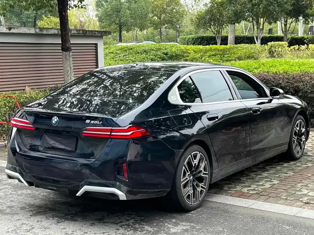 BMW 5 Series 2024 из CN, фото 9