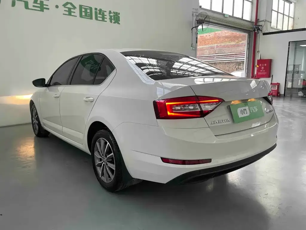 Skoda Octavia 2021 из CN, фото 2