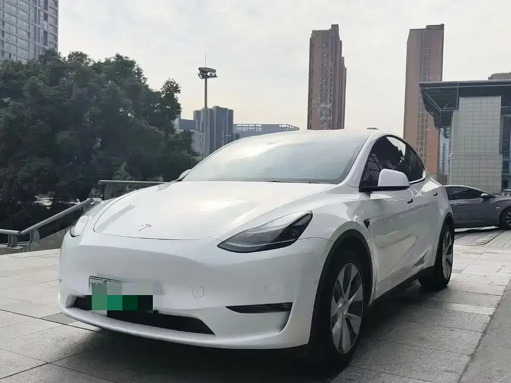 Tesla Model Y 2022 из CN, фото 1