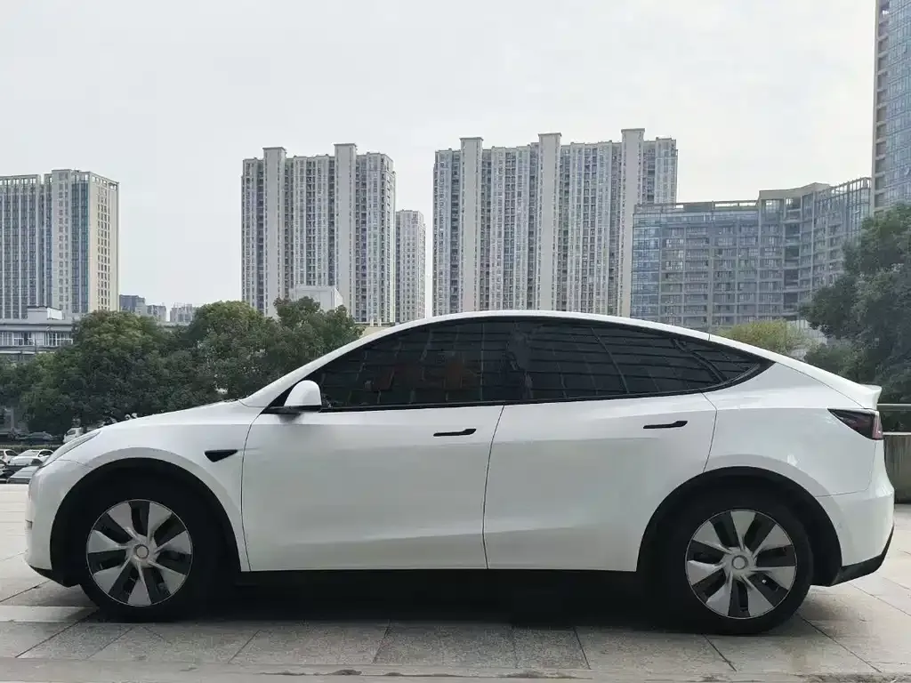 Tesla Model Y 2022 из CN, фото 4