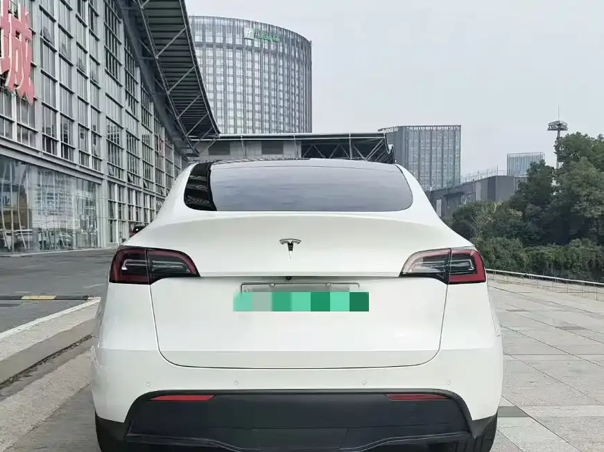 Tesla Model Y 2022 из CN, фото 6