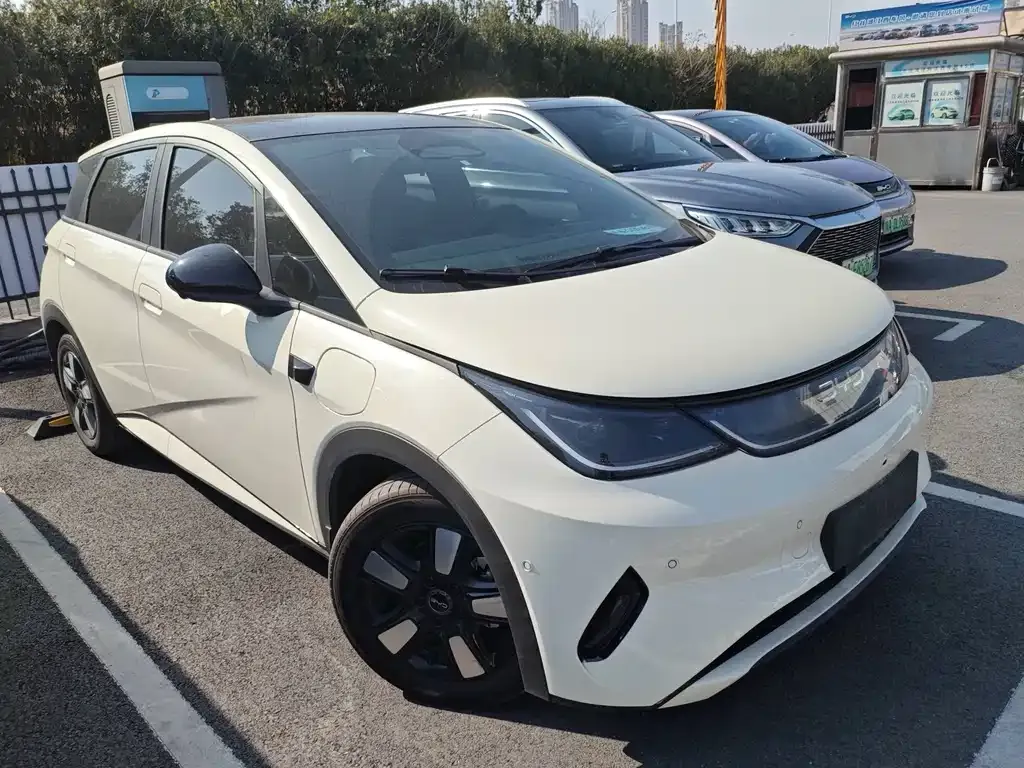 BYD Dolphin 2025 из CN, фото 7