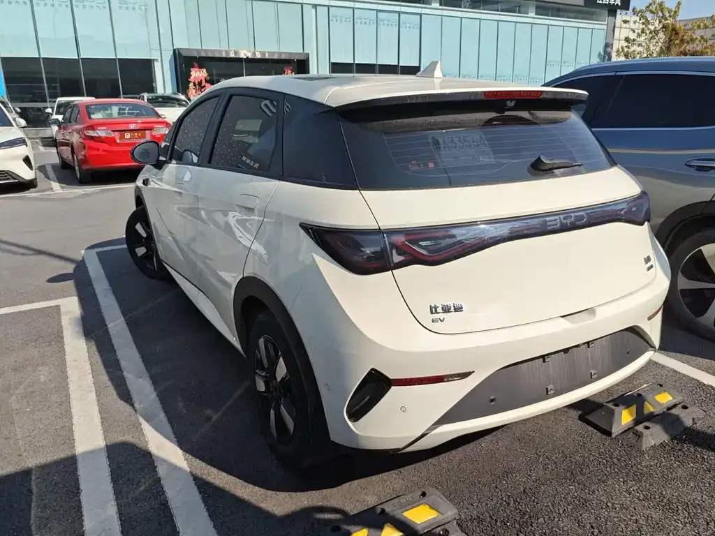 BYD Dolphin 2025 из CN, фото 9