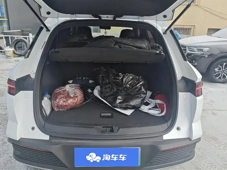 BYD Pro New Energy — фото 8