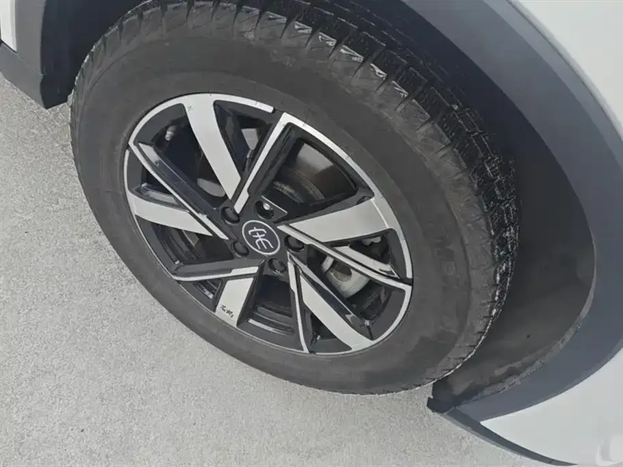 BYD Pro New Energy — фото 4