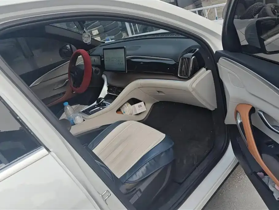 BYD Pro New Energy — фото 6
