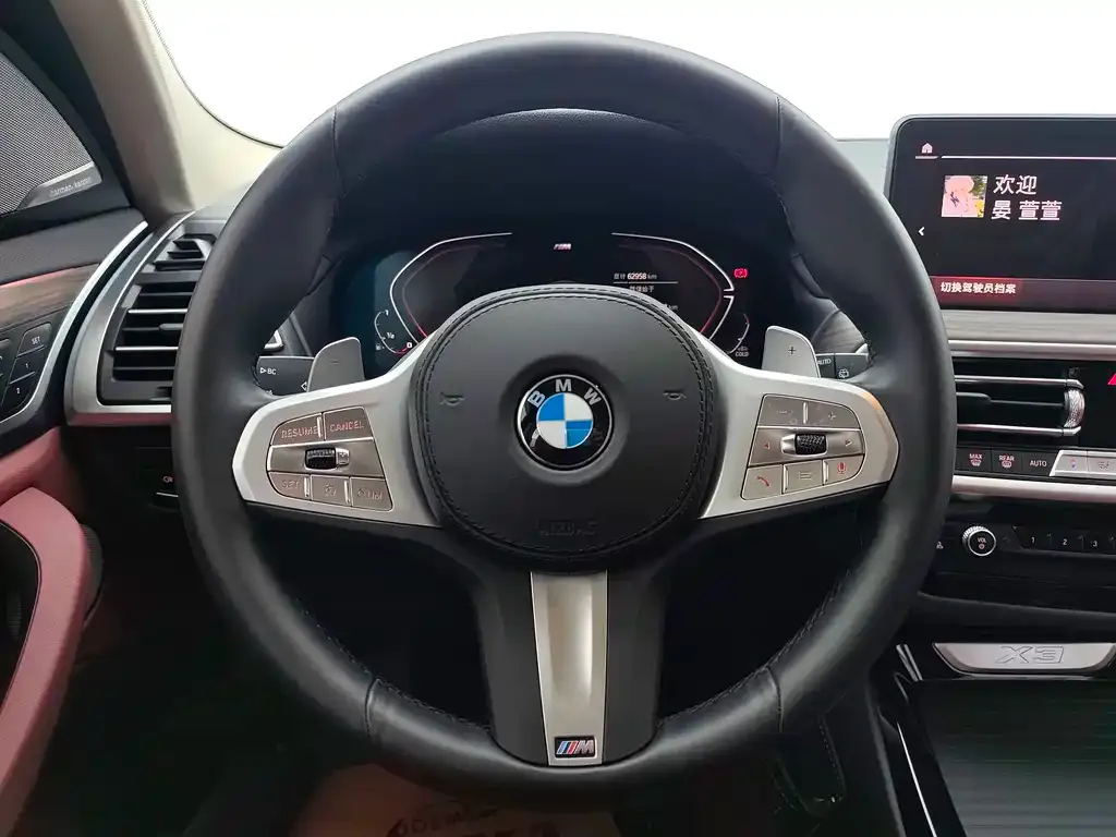 BMW X3 2024 из CN, фото 3